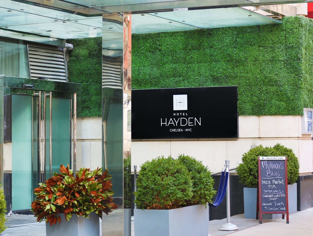 Hotel Hayden - photo 59