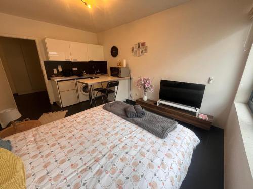 Nid Douillet de la Pie - last minute hotel in Strasbourg