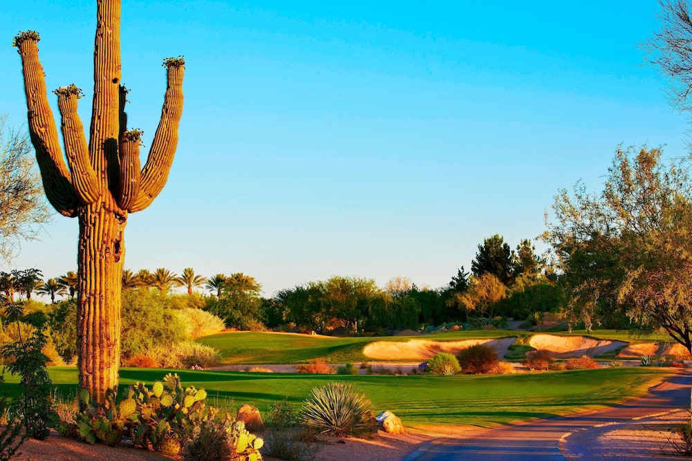 JW Marriott Phoenix Desert Ridge Resort & Spa - photo 94