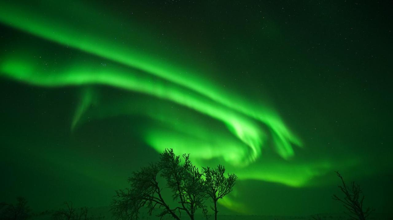 Arctic Aurora Borealis Cottages — Utsjoki — photo 4