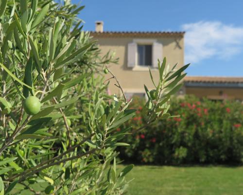 Gites Le Petit Luberon — Sainte Tulle
