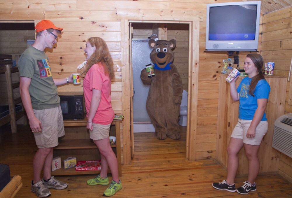 Yogi Bear's Jellystone Park Camp Resort Wisconsin Dells - photo 12