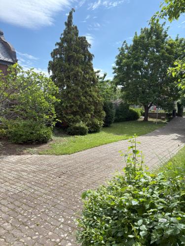 Villa Rosa — Balatonalmadi — photo 5
