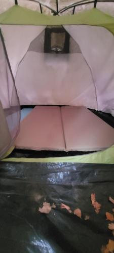 Rent A Tent Namiot W Praekologicznym Gospodarstwie 17749873 — Pozezdrze