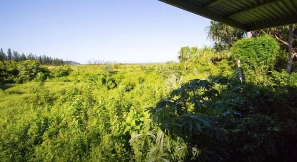 Kirpal Meditation and Ecological Center - photo 31