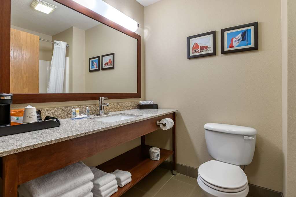 Comfort Inn Story City - photo 21