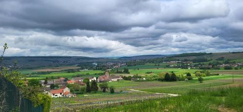 Le Coq De Champagne — hotel in Dormans