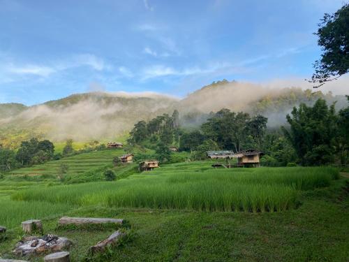 Pang Ma O Rice Terrace — Samoeng