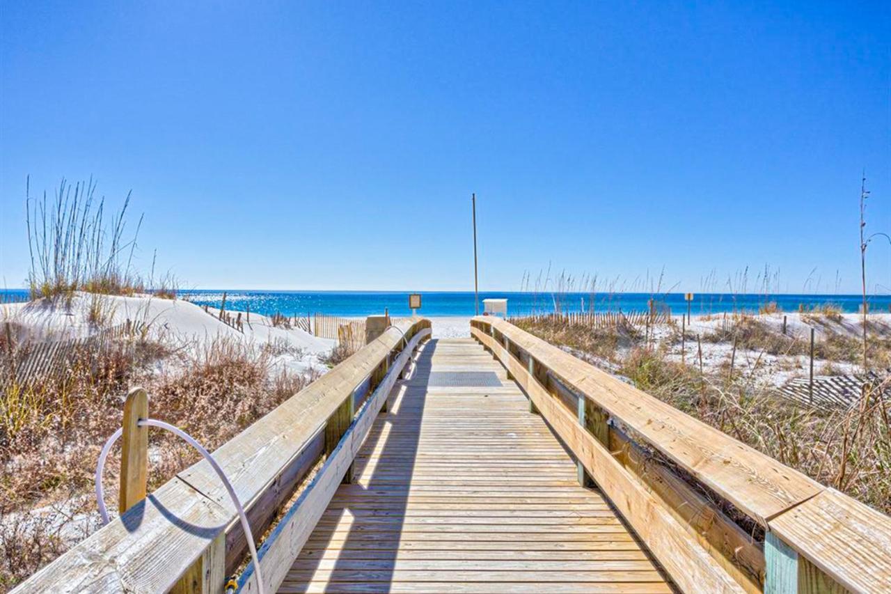 Phoenix V 1213 — Orange Beach — photo 5