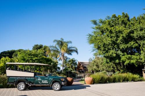Addo Wildlife in Port Elizabeth, South Africa