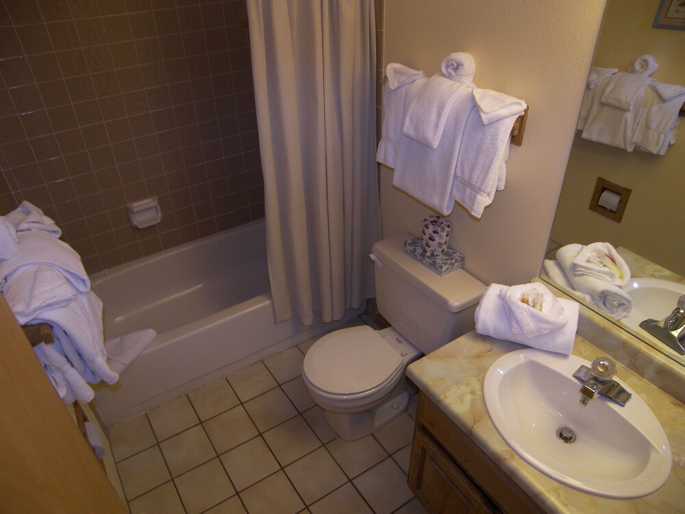 Snowscape 2 Bed 2 Bath - photo 37