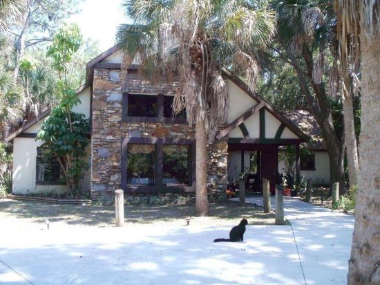 Tropical Jungle Tranquility — Englewood