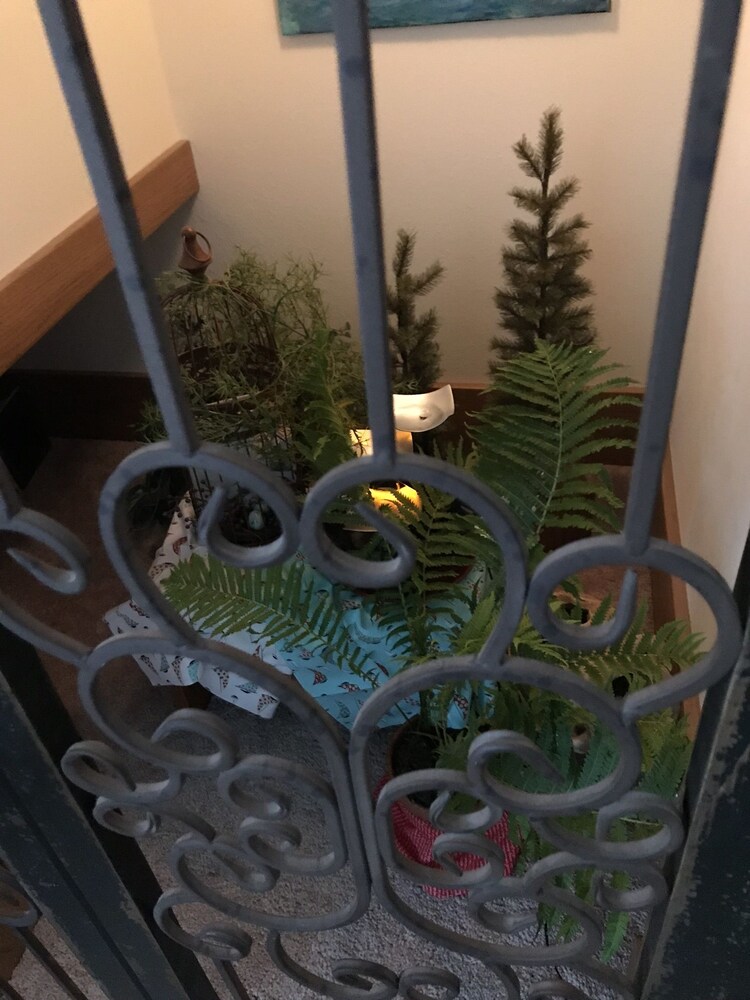The Dwelling Place - photo 19