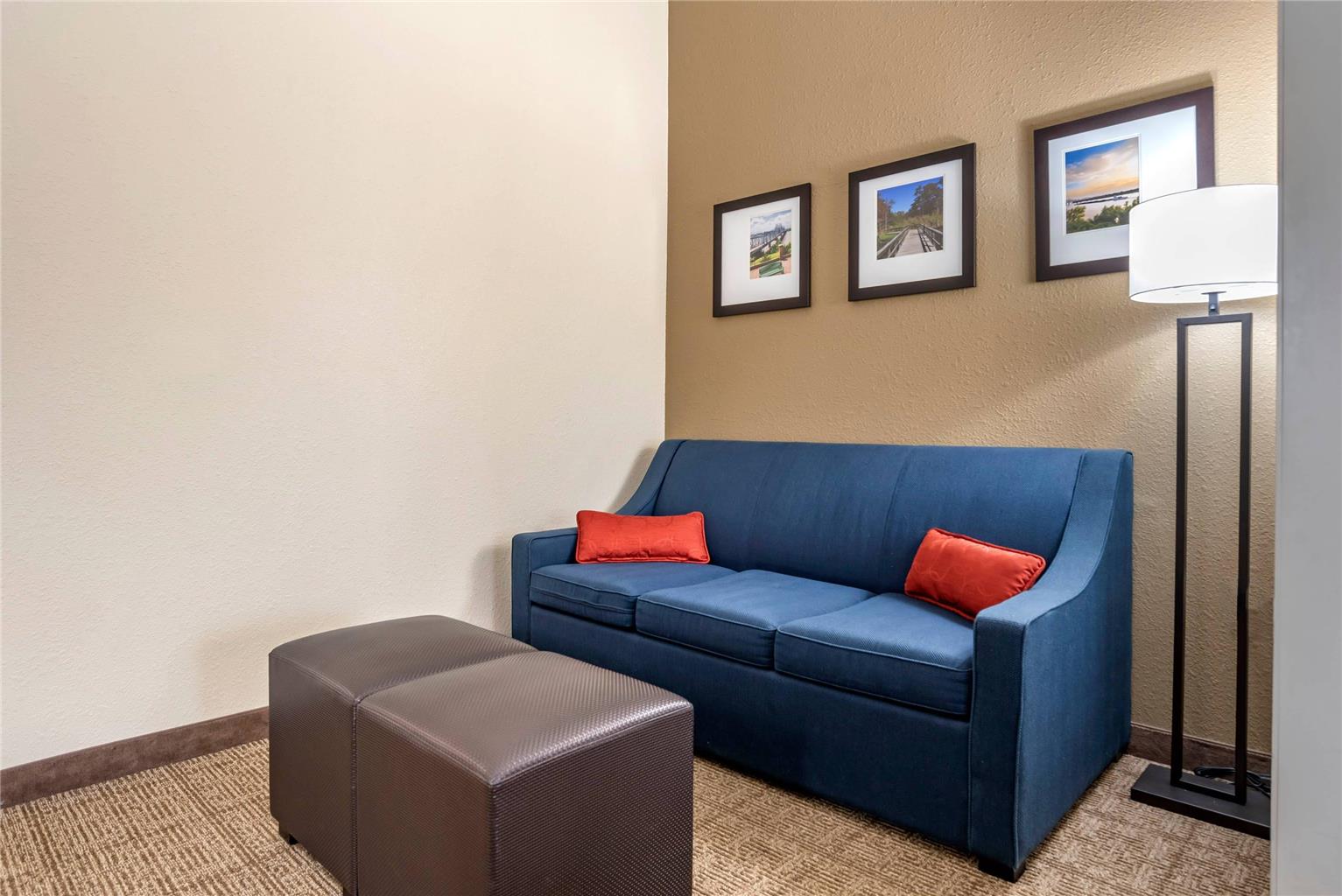 Comfort Suites Vicksburg - photo 8