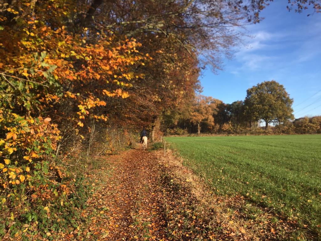 La Grange 28 — Bergen Op Zoom — photo 2