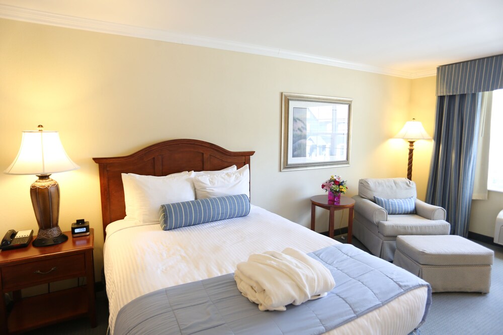 Hotel Rehoboth - photo 17