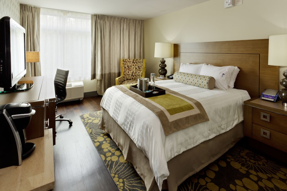 Hotel Indigo East End an IHG Hotel - photo 4