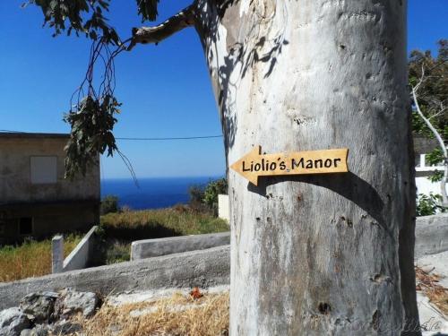 Liolio’s Manor — Unknown City — photo 4