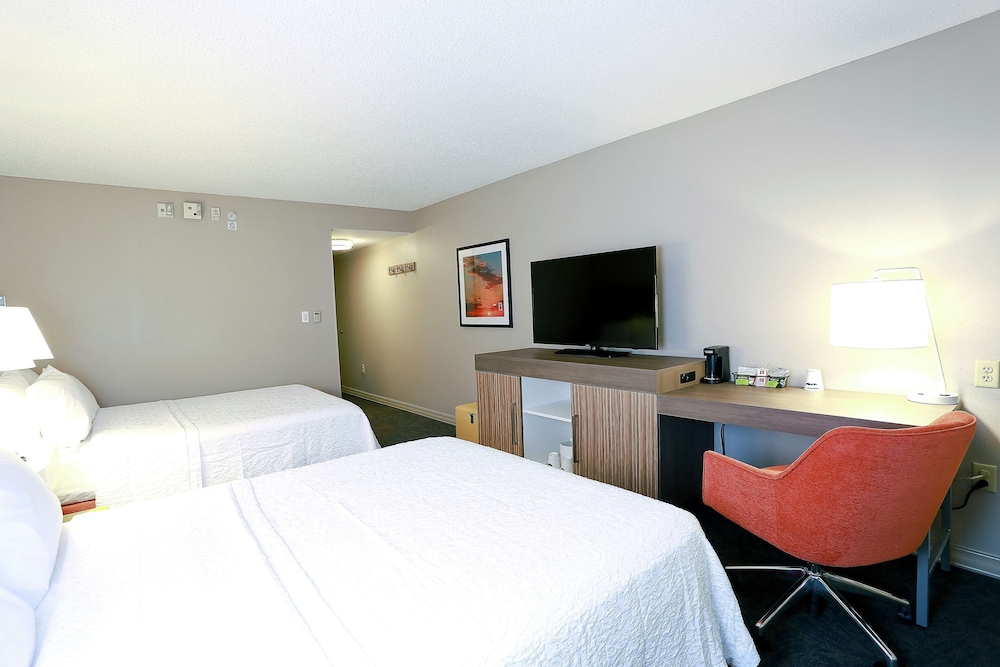 Hampton Inn & Suites Tampa Wesley Chapel - photo 13