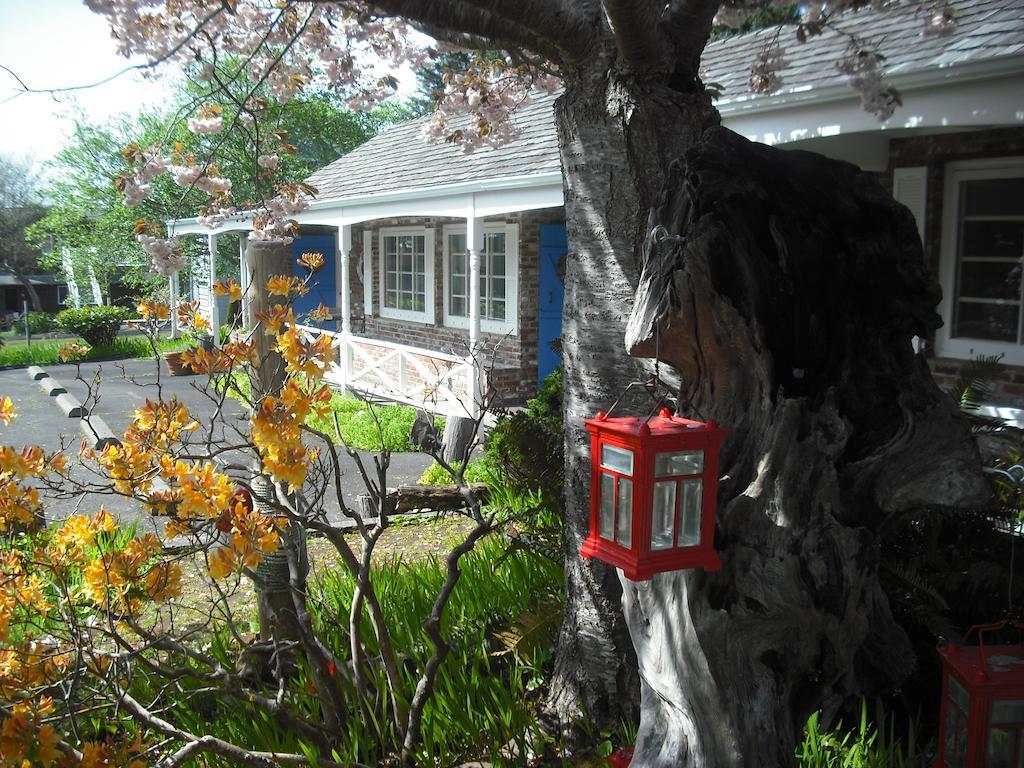 Grey Whale Inn - photo 2