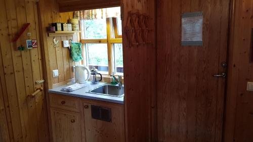 Cozy Cabin in the Woods