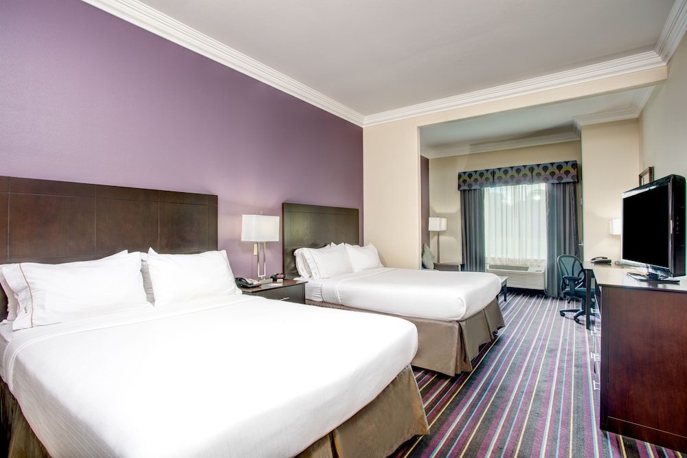 Holiday Inn Express Hotel & Suites Raceland Highway 90 by IHG - photo 10