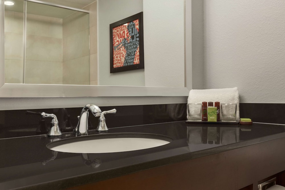 Embassy Suites Hotel Baton Rouge - photo 16