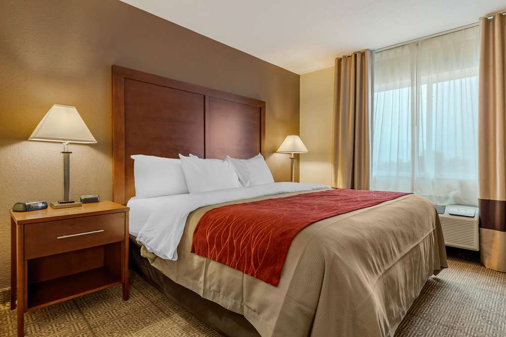 Comfort Inn Warren I 69 - photo 27