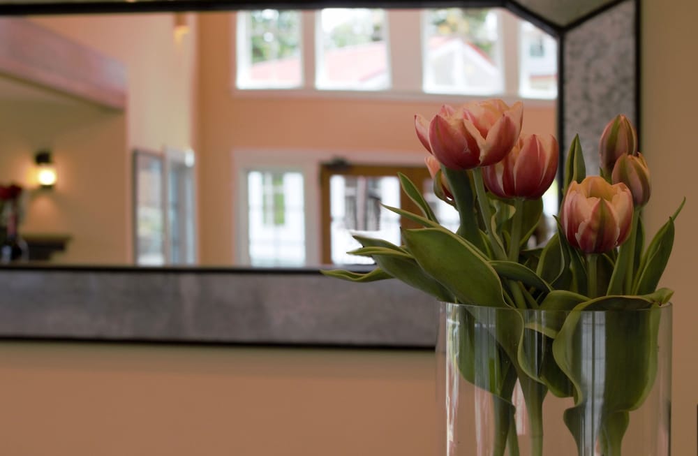 Anacortes Ship Harbor Inn - photo 4