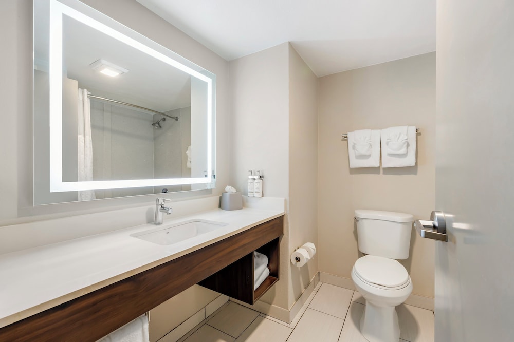 Holiday Inn Express & Suites Nashville Southeast Antioch by IHG - photo 29