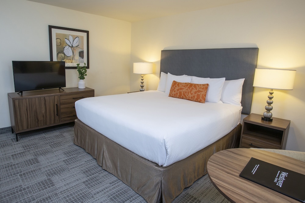 Lakeshore Inn - photo 7