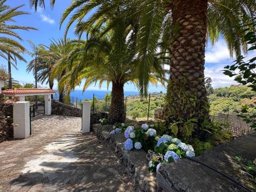 Casa Carrillo — Santa Cruz De La Palma — photo 3