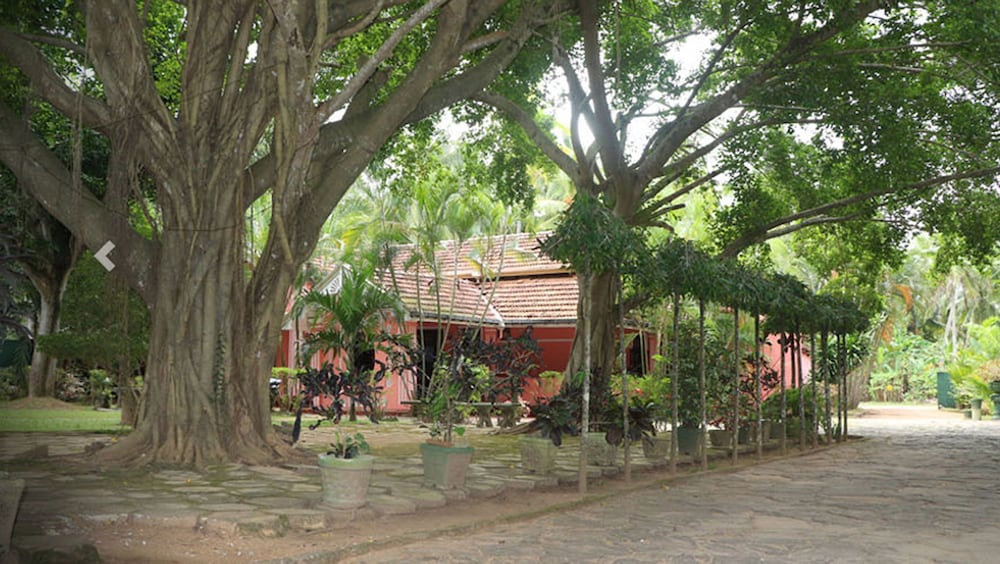 Villa Sunshine Hotel in Minuwangoda, Sri Lanka