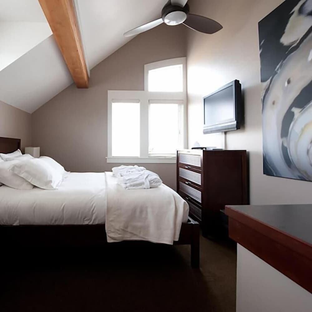 Bird Rock Hotel - photo 15