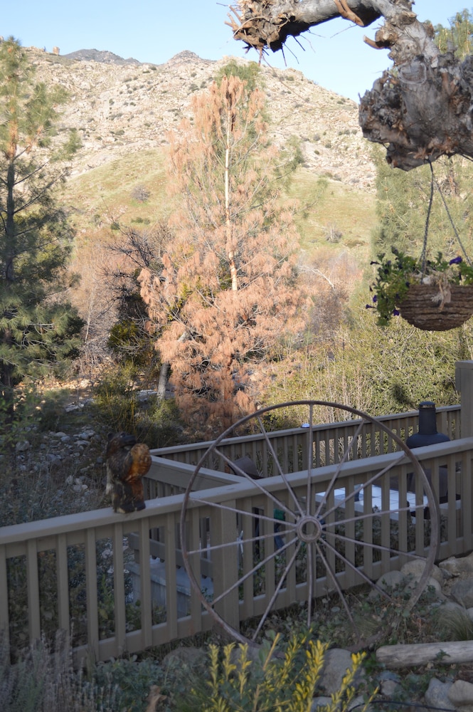 Sequoia Lodge - photo 29