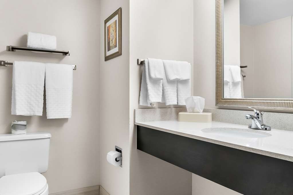 Best Western Okemos East Lansing Hotel & Suites - photo 26