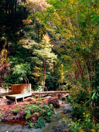 Chelenko Hotspring and Lodge — Puerto Aysen — photo 5