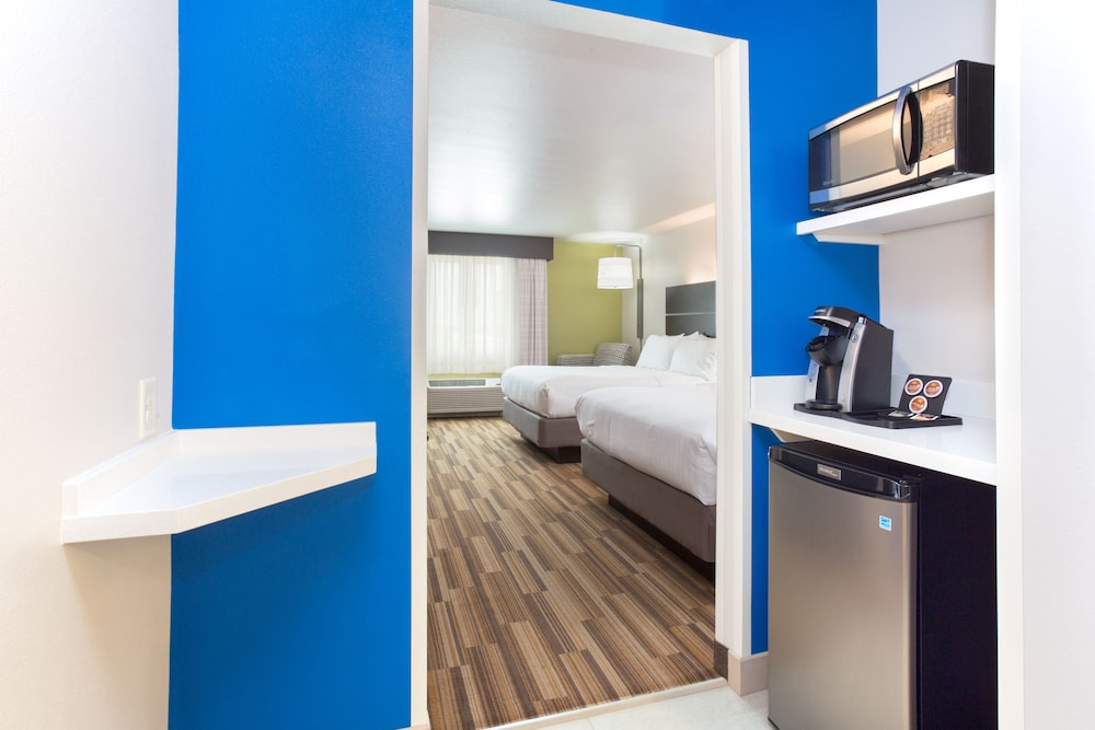 Holiday Inn Express & Suites Rapid City Rushmore South by IHG - photo 18