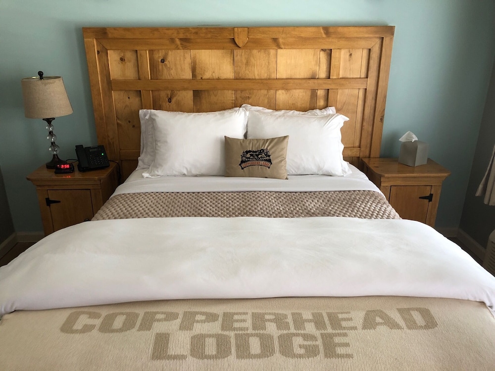 Copperhead Lodge and Resort Cabin Rentals - photo 17