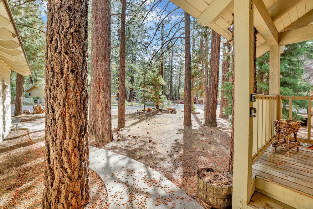 ALL Season Alpine Retreat #1184 - photo 19