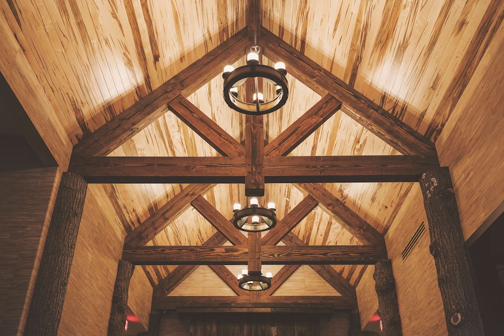 Tailwater Lodge Altmar Tapestry Collection by Hilton - photo 6