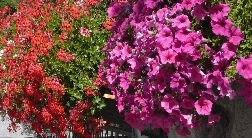 Albergo Panice — hotel in Limone Piemonte