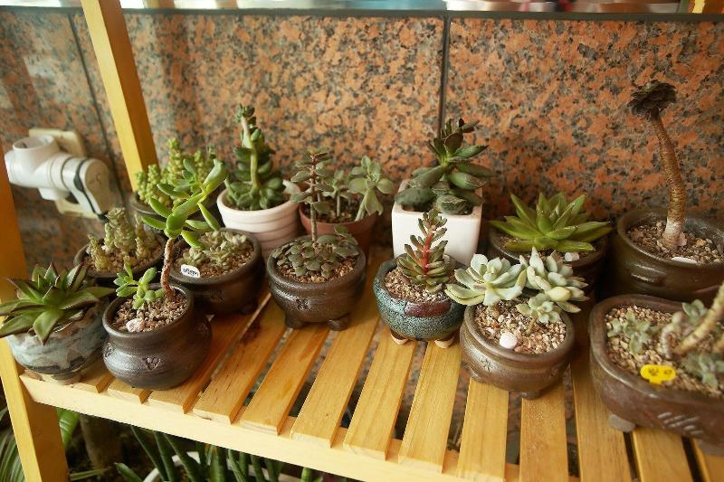 Gangneung Gyeongpodae Gyeongpo Hill in Gangneung, South Korea