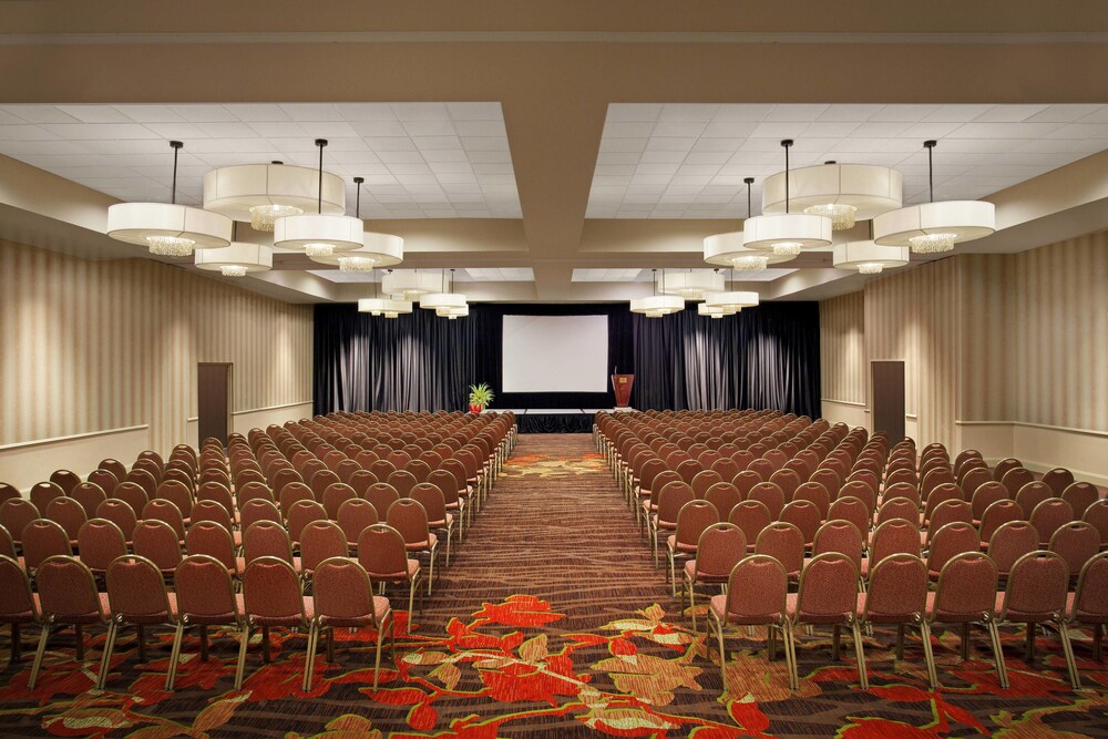 Sheraton Albuquerque Airport Hotel - photo 31