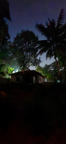 IslandStay a riverside property in Kollam, India