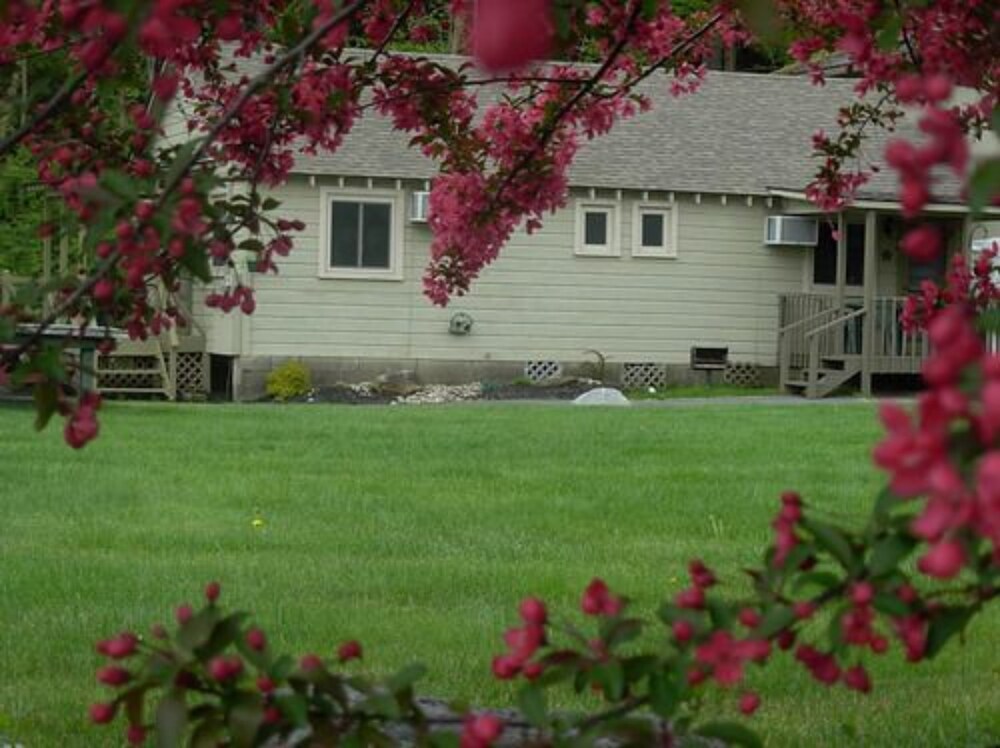 Lake George Diamond Cove - photo 16