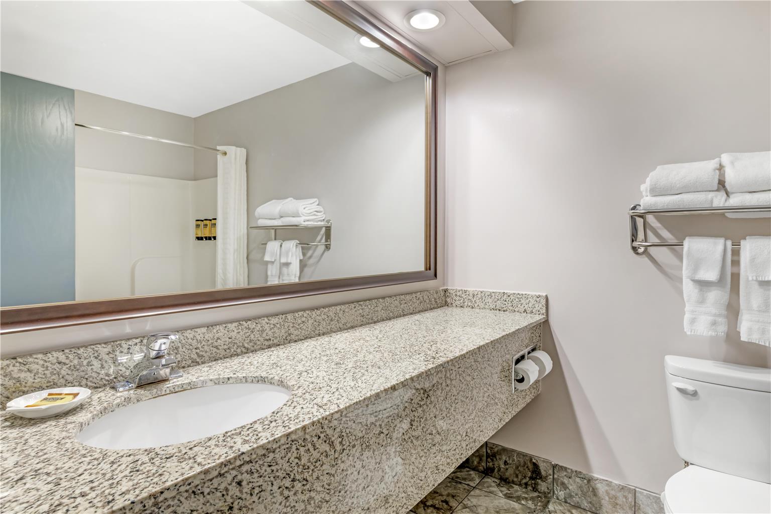 Best Western Plus Eau Claire Conference Center - photo 17