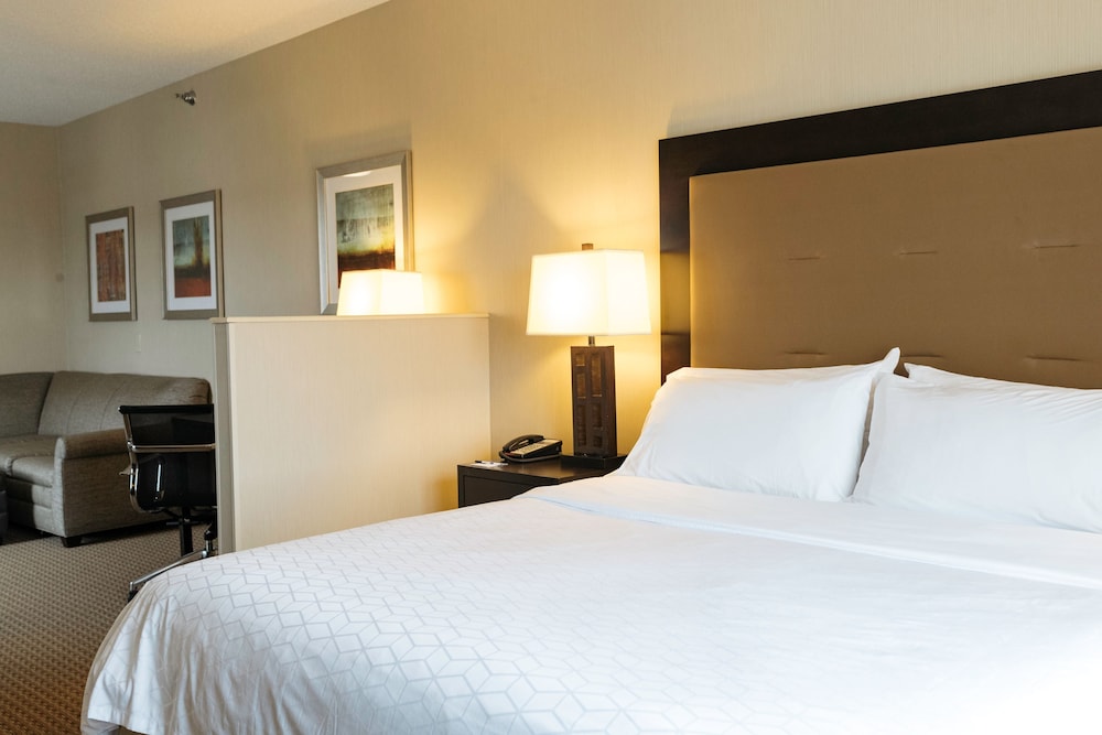 Holiday Inn Express Hotel & Suites Olathe North by IHG - photo 14