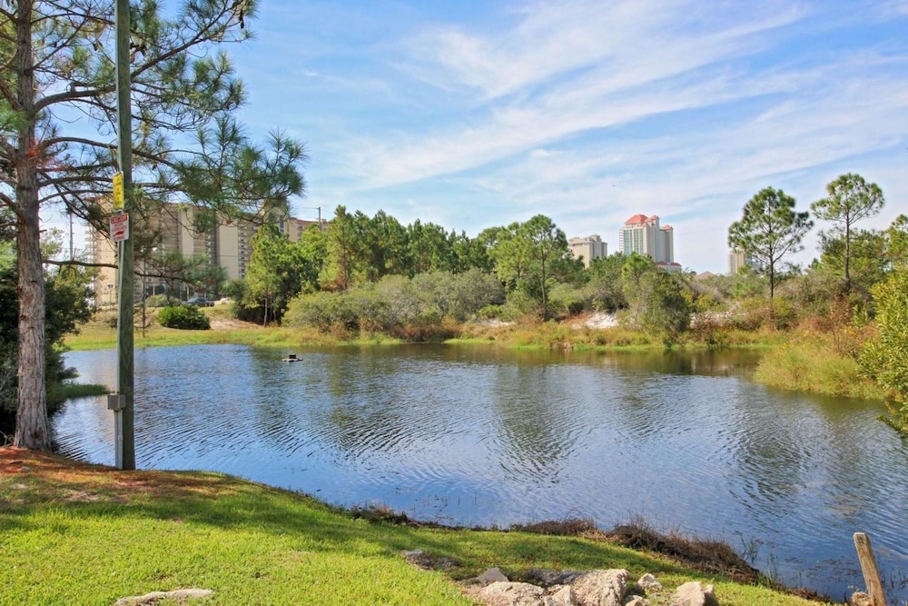 Palmetto 306 - photo 39