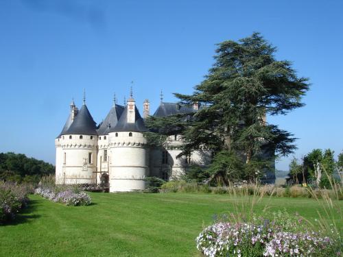 Hôtel de Cormeray — Cheverny — photo 5